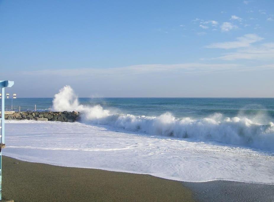 Le Finestre Sul Mare Daire Albissola Marina Dış mekan fotoğraf